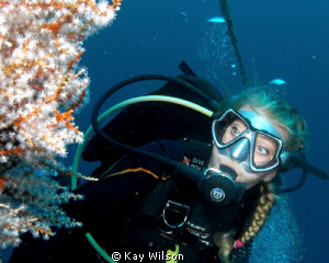 Lady diver with soft corals. Sea and  Sea DX1G / wide ang... by Kay Wilson 